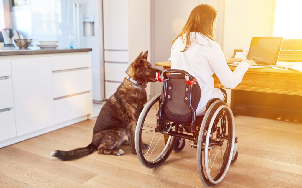 Assistenzhunde: Das Bundesministerium für Arbeit und Soziales (BMAS) hat nun eine das Behindertengleichstellungsgesetz ergänzende Assistenzhundeverordnung erlassen. 