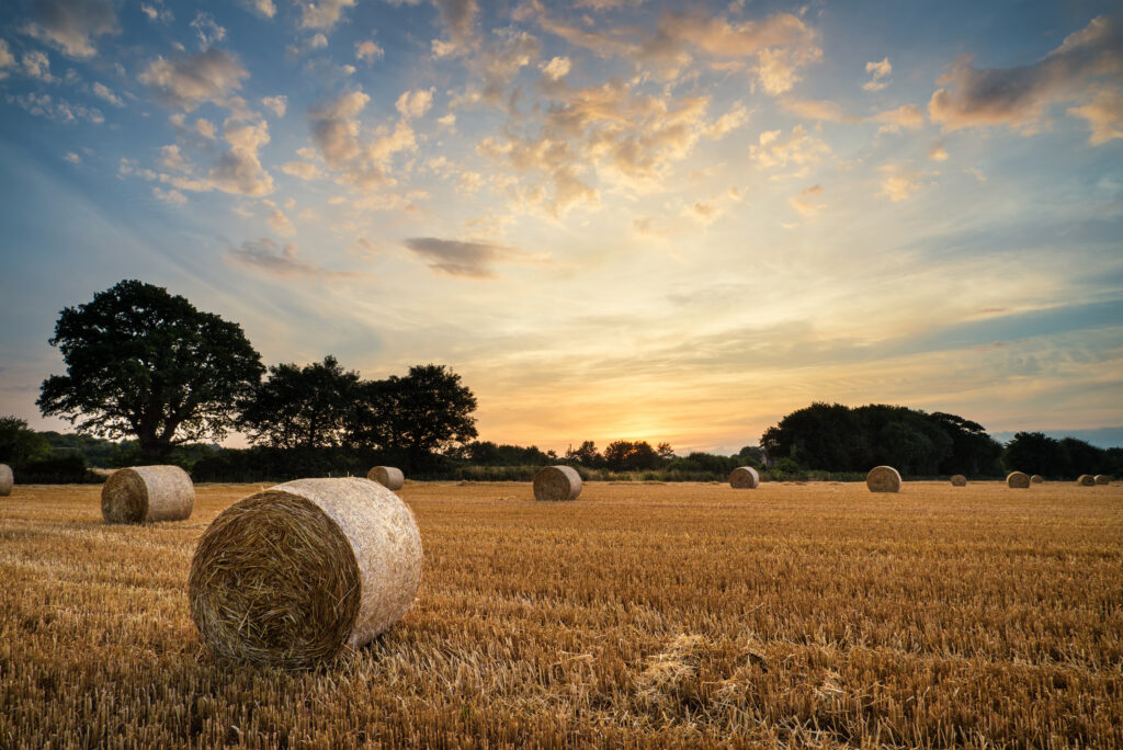 Das FG Schleswig-Holstein verneint beim Nießbrauchsverzicht an land- und forstwirtschaftlichem Vermögen die Anwendung der §§ 13a, 13b ErbStG und eine Abzinsung aufschiebend bedingter Lasten.